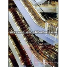 30 degree SANYO VVVF Automatic Escalator